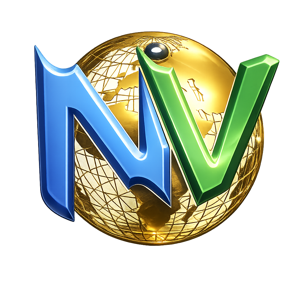 new vision wise sarl